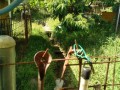 IMG_20260518_090602