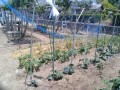 IMG_20260518_113456