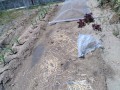 IMG_20260518_113508