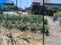 IMG_20260518_113740
