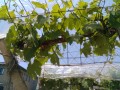 IMG_20260518_113749