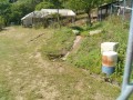 IMG_20260519_091440