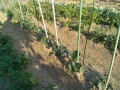 IMG_20260519_172826