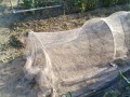 IMG_20260519_172831