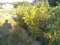 IMG_20260519_172847
