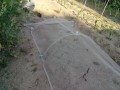 IMG_20260519_172853