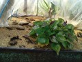 IMG_20260519_174149