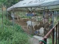 IMG_20260519_175306