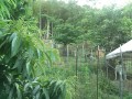 IMG_20260519_175308