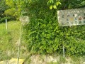 IMG_20260520_083101