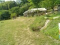 IMG_20260520_083138