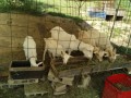 IMG_20260520_090216