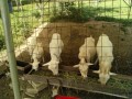 IMG_20260520_090234