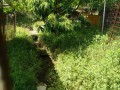 IMG_20260520_090253