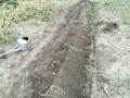 IMG_20260520_175254