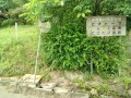 IMG_20260521_092418