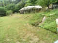 IMG_20260521_092456