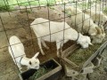 IMG_20260521_093945