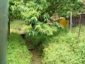 IMG_20260521_093953