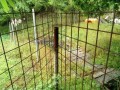 IMG_20260521_094032