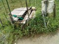 IMG_20260522_085420