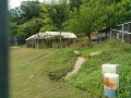 IMG_20260522_085501