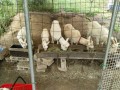 IMG_20260522_090407