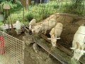 IMG_20260522_090414