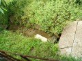 IMG_20260522_090429