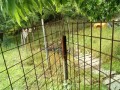 IMG_20260522_090445