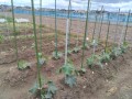 IMG_20260522_121724
