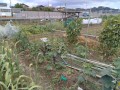 IMG_20260522_121727