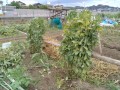 IMG_20260522_121732
