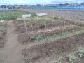 IMG_20260522_121734