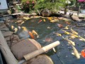 IMG_20260524_124031