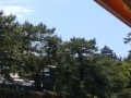 IMG_20260524_135423