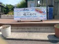 IMG_20260524_141247