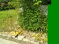 IMG_20260525_082758