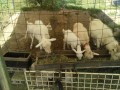IMG_20260525_095326