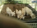 IMG_20260525_095334