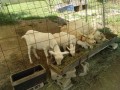 IMG_20260525_095346