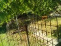 IMG_20260525_095409