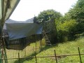 IMG_20260525_095415
