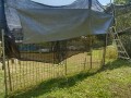 IMG_20260525_095535