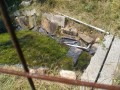 IMG_20260525_095543
