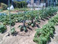 IMG_20260525_110009