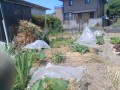IMG_20260525_110022