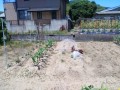 IMG_20260525_110034