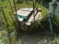 IMG_20260526_082653