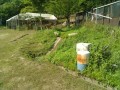 IMG_20260526_082750